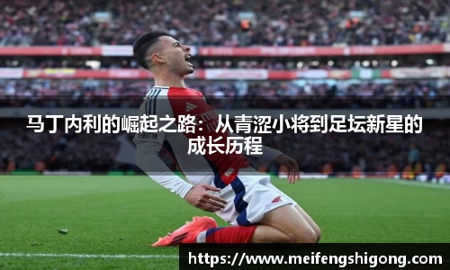 马丁内利的崛起之路：从青涩小将到足坛新星的成长历程